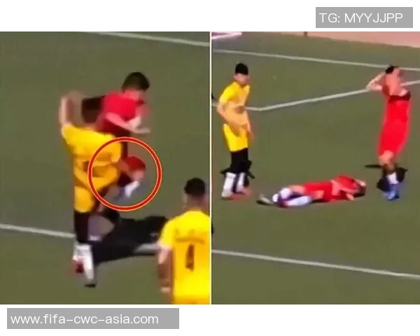 足球场上的悲剧时刻死亡事件引发的思考与反思